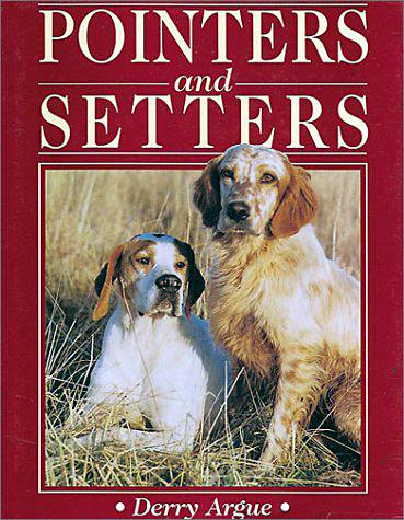Pointer and Setters