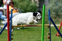 „Tag des Hundes“ Gartenschau in Mühlacker (07.06.2015)