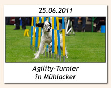 Agility-Turnier in Mühlacker am 25.06.2011