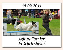 Agility-Turnier in Knielingen am 11.09.2011