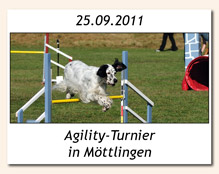 Agility-Turnier in Möttlingen am 25.09.2011