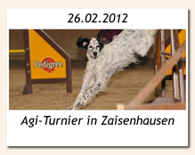 Agility-Turnier in Zaisenhausen am 26.02.2012