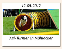 Agility-Turnier in Mühlacker am 12.05.2012