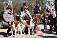 Dornsberger Jagdhundetag (28.03.2015)