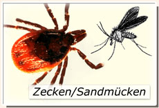 Zecken/Sandmücken