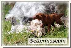 Settermuseum